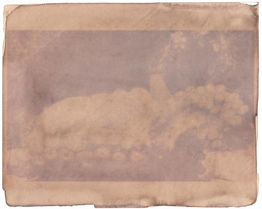 anthotype_poulpe_brest_coqulicot_2_mail.jpg